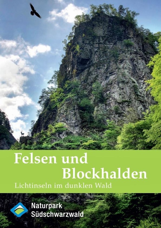 Broschre Felsen und Blockhalden