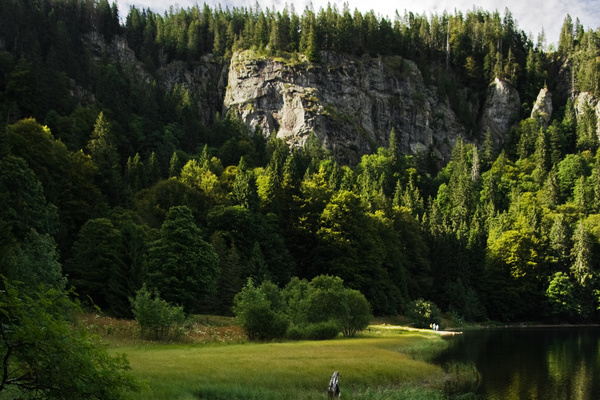 Blick auf die Feldsee-Wand  VDN/Michael Schlegel