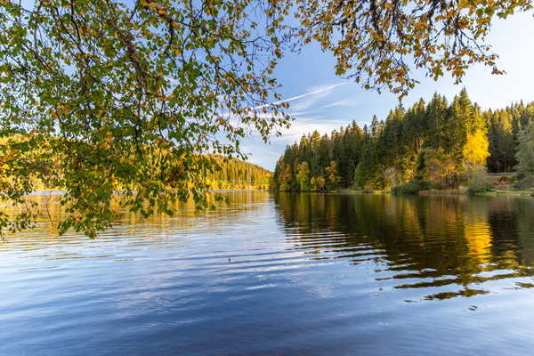 Windgfllweiher  S. Schrder-Esch