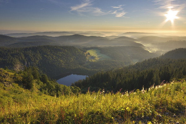 Ausflugsziele wie der Feldsee warten im Hochschwarzwald  Hochschwarzwald Tourismus GmbH