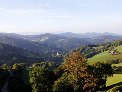 Herbst in Bollschweil-St. Ulrich  Gemeinde Bollschweil